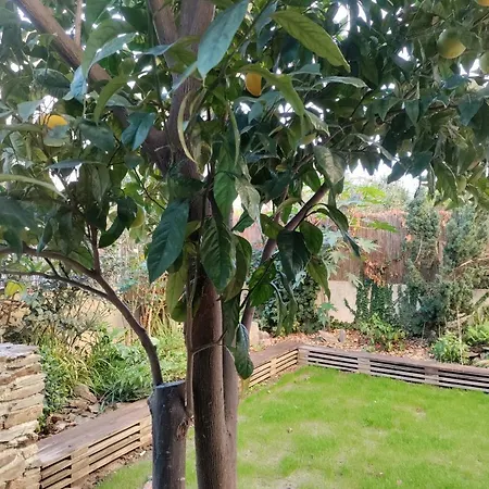 Les Papillons Perpignan