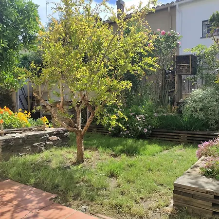 Les Papillons Appartement Perpignan