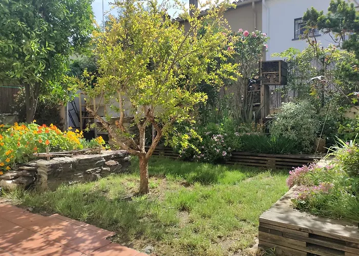 Les Papillons Apartment Perpignan